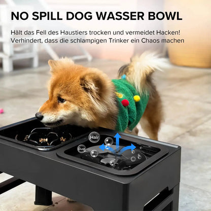 Elevated Dog Bowl Stand | Elevated Dog Bowl | Dog Slow Feeder Bowl