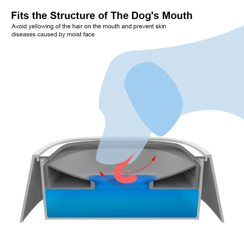 Dog Water Bowl No Spill – Keep Your Floors Dry & Your Pup Hydrated | Rover Rituals