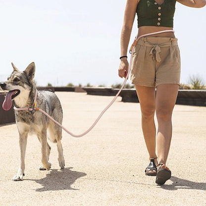 Hands Free Shoulder strap P buckle dog lead multifunctional