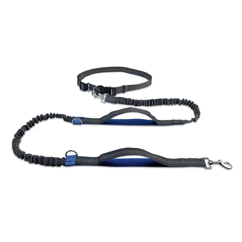 Heavy-Duty Reflective Bungee Dog Running Leash – Shock Absorbing Traction Lead for Active Dogs