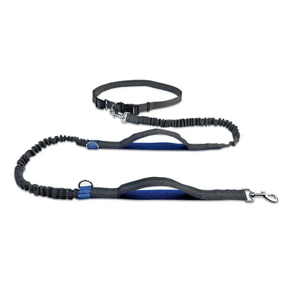 Heavy-Duty Reflective Bungee Dog Running Leash – Shock Absorbing Traction Lead for Active Dogs