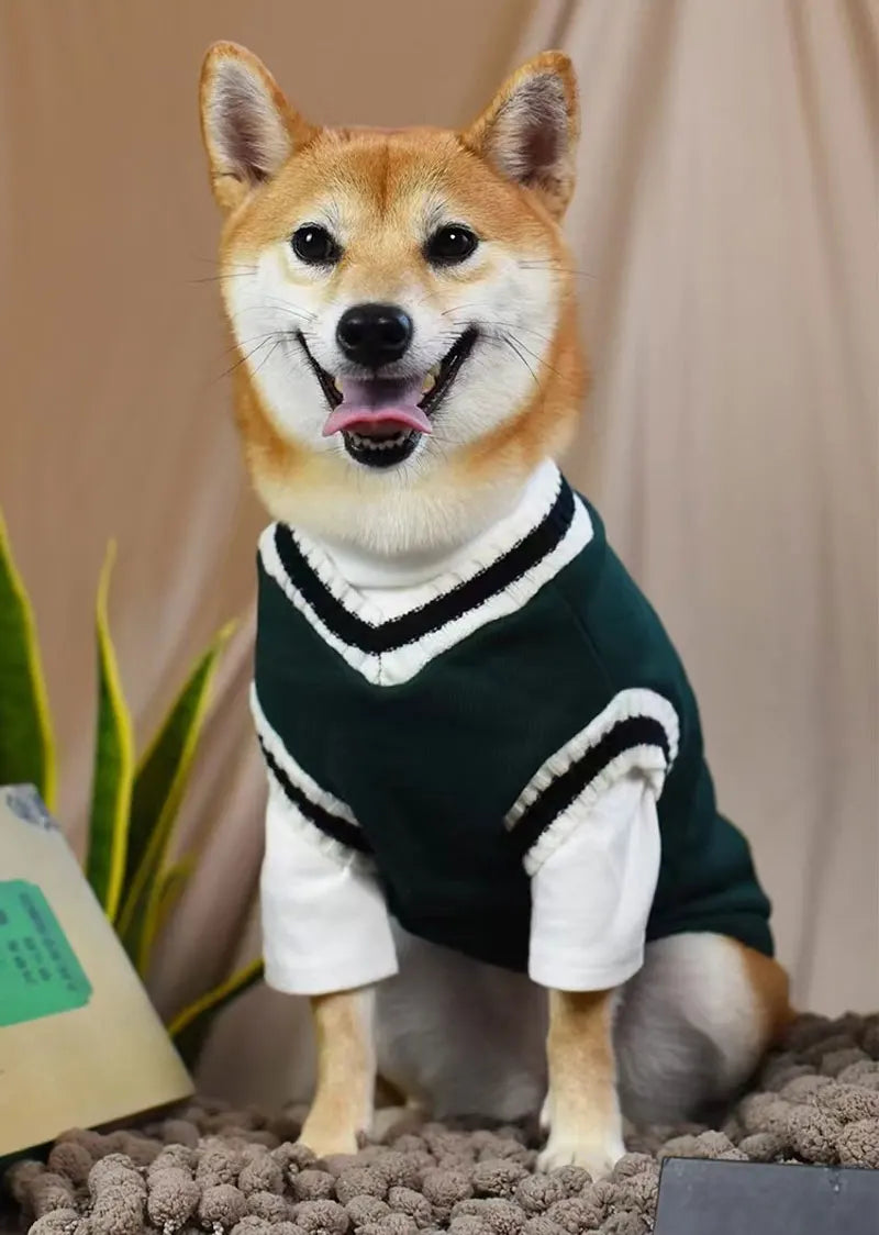 Winter Warm Dog Sweater College Style V-neck Knitwear Coat | Dog Clothes