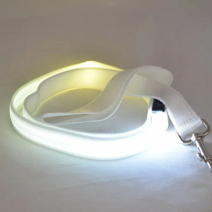 LED Light-Up Dog Leash — USB-C Rechargeable Traction Rope