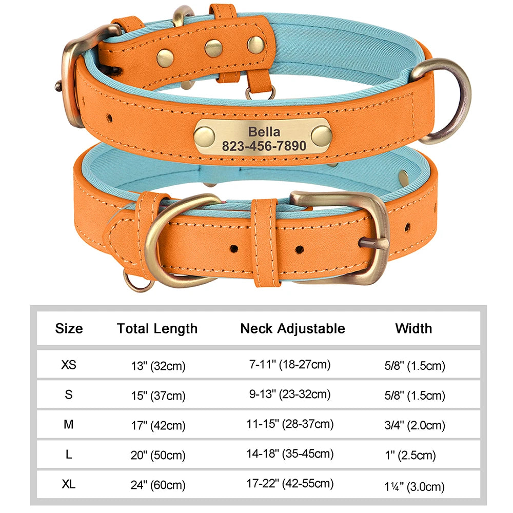 Personalized Dog Collars with Name Customizable ID Tag Nameplate