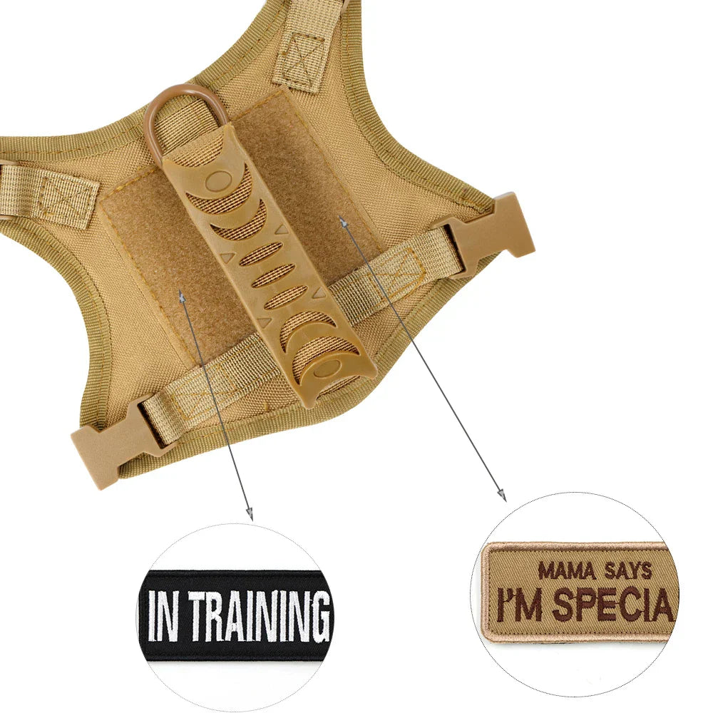 Rover Rituals | Tactical Dog Harness and Leash for Small Dogs | Durable & Secure Fit