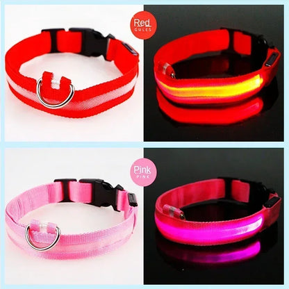 Rover Rituals | SafeShine Collar | Rechargeable glowing LED dog collar for safety night walks