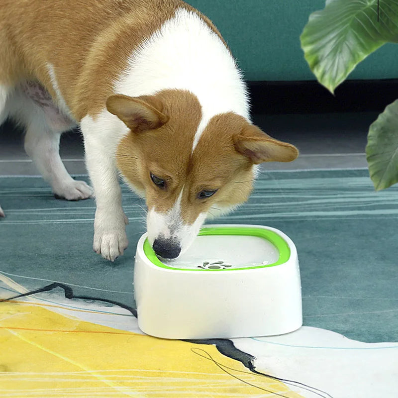 Dog Water Bowl No Spill – Keep Your Floors Dry & Your Pup Hydrated | Rover Rituals