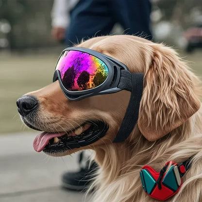 Pet Goggles Adjustable Anti UV Glare Windproof Sunglasses for Dogs Outdoor Hiking Running Beach All Breeds Eye Protection Black - Rover Rituals