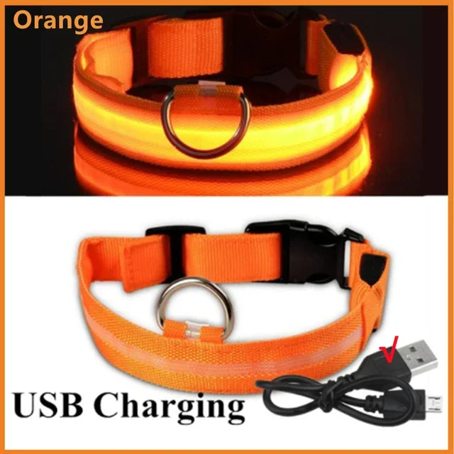 Rover Rituals | SafeShine Collar | Rechargeable glowing LED dog collar for safety night walks