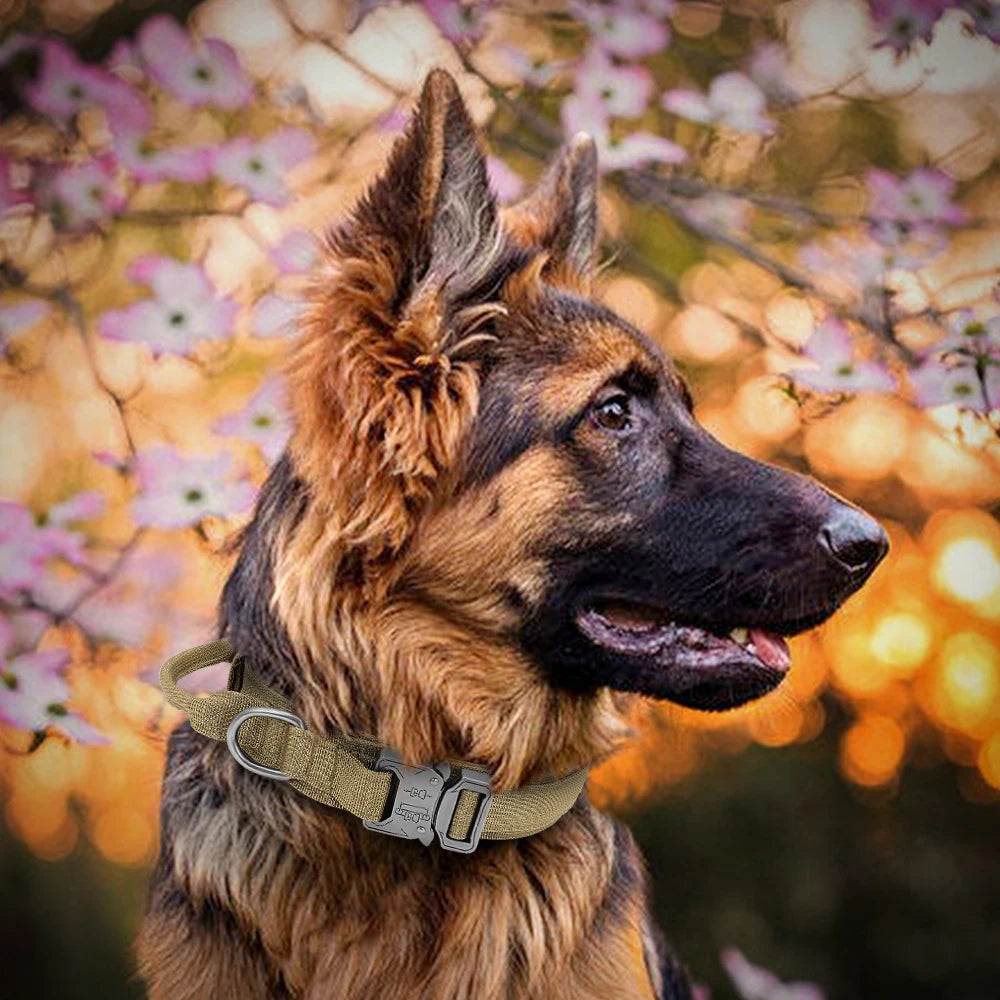 Durable Tactical Dog Collar and Leash Set