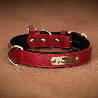 Personalized Dog Collars with Name Customizable ID Tag Nameplate