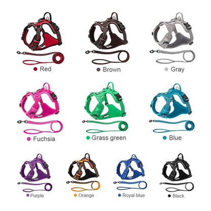 TrueLove No Pull Dog Harness and Leash Set - Reflective & Adjustable Walking Harness