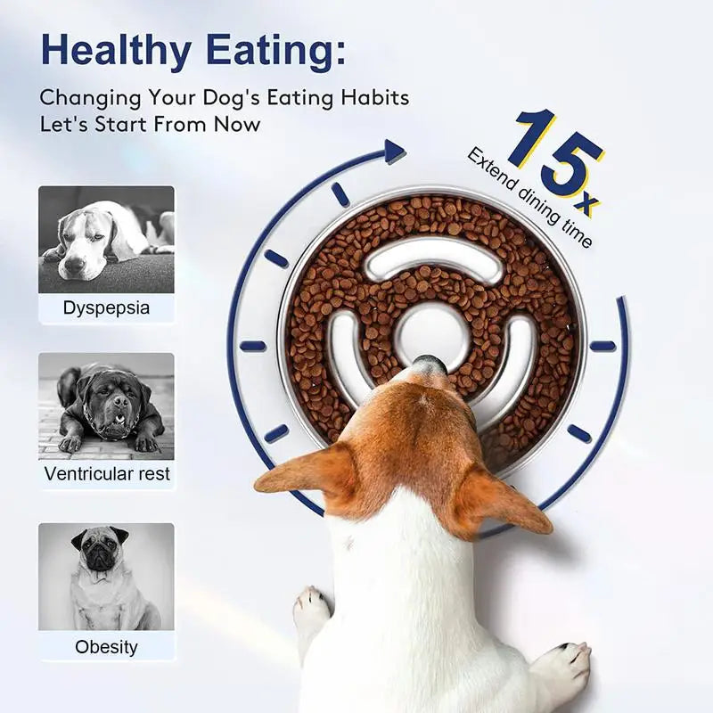 Slow Feeder Dog Bowl Stainless Steel