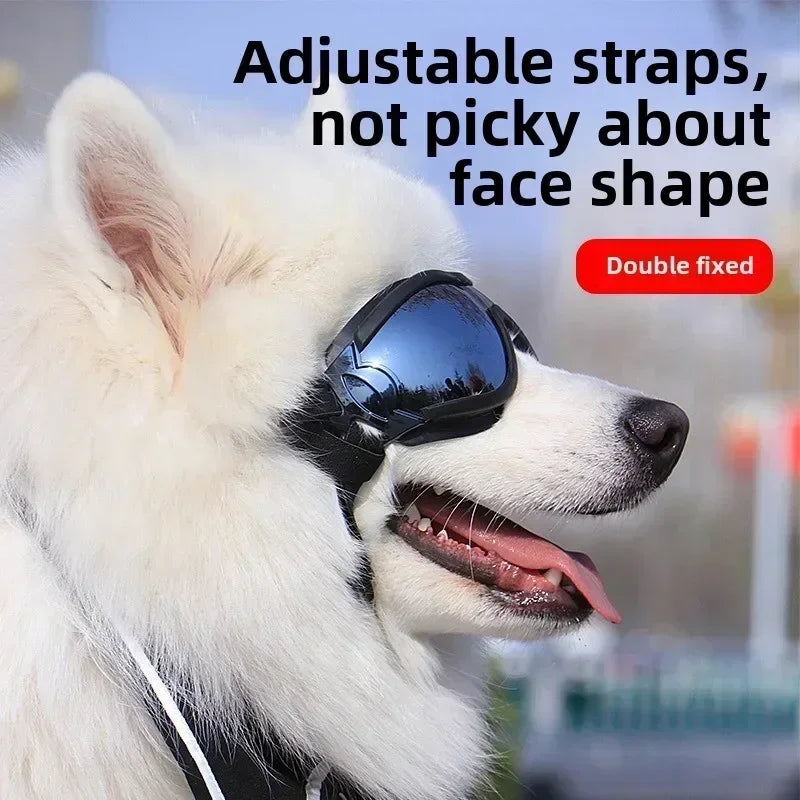 Pet Goggles Adjustable Anti UV Glare Windproof Sunglasses for Dogs Outdoor Hiking Running Beach All Breeds Eye Protection Black - Rover Rituals