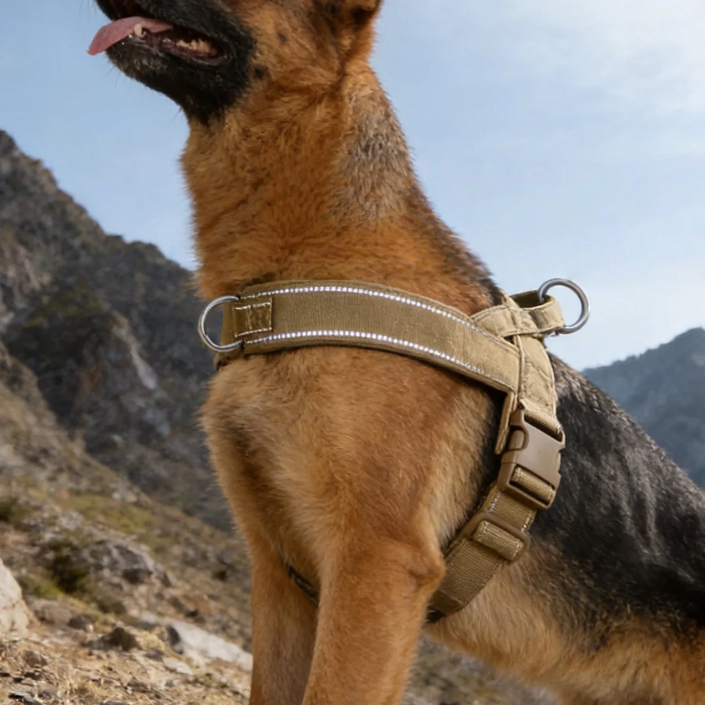 Tactical No-Pull Dog Harness – Heavy-Duty Padded Vest with Reflective Strips
