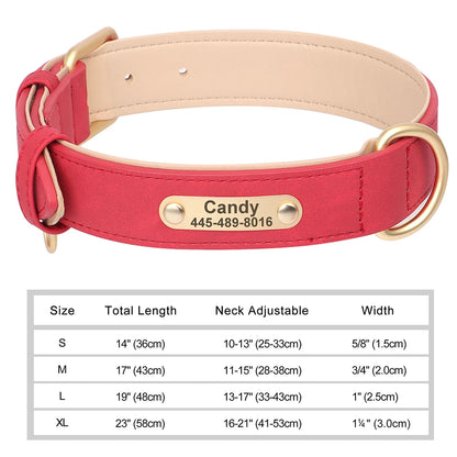 Personalized Dog Collars with Name Customizable ID Tag Nameplate