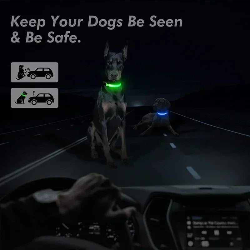 Rover Rituals | SafeShine Collar | Rechargeable glowing LED dog collar for safety night walks