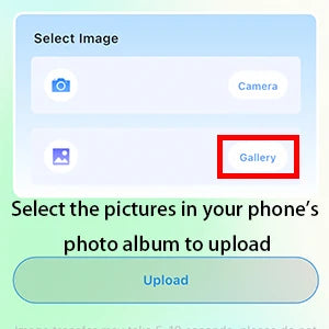 LumiOrb 3D Wifi Video Crystal Ball Personalized Dog Gift Keepsake