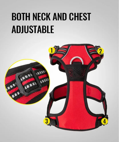 TrueLove No Pull Dog Harness and Leash Set - Reflective & Adjustable Walking Harness