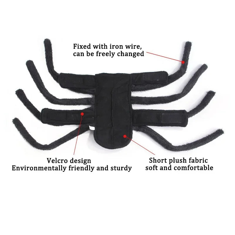 Spider Costume for Cats and Small to Medium Dogs