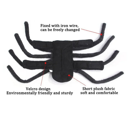 Spider Costume for Cats and Small to Medium Dogs