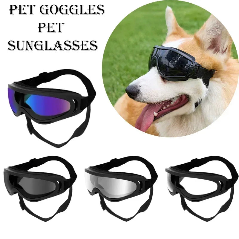 Pet Goggles Adjustable Anti UV Glare Windproof Sunglasses for Dogs Outdoor Hiking Running Beach All Breeds Eye Protection Black - Rover Rituals