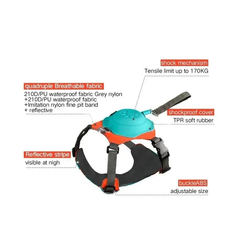 Rover Rituals | WalkEase Pro | All in one dog harness & leash