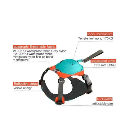 Rover Rituals | WalkEase Pro | All in one dog harness & leash