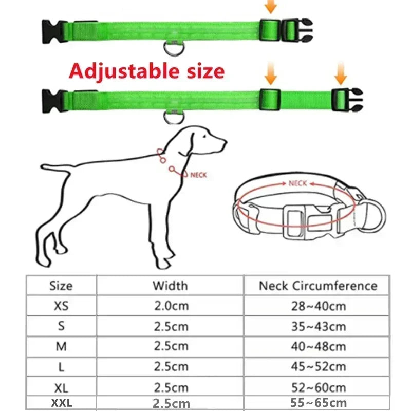 Rover Rituals | SafeShine Collar | Rechargeable glowing LED dog collar for safety night walks