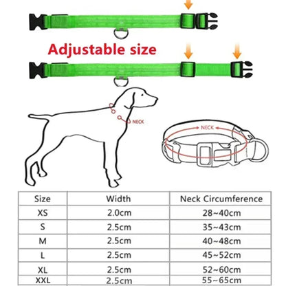 Rover Rituals | SafeShine Collar | Rechargeable glowing LED dog collar for safety night walks