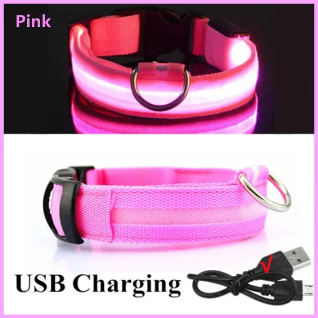 Rover Rituals | SafeShine Collar | Rechargeable glowing LED dog collar for safety night walks