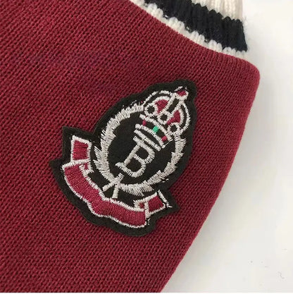 Winter Warm Dog Sweater College Style V-neck Knitwear Coat | Dog Clothes