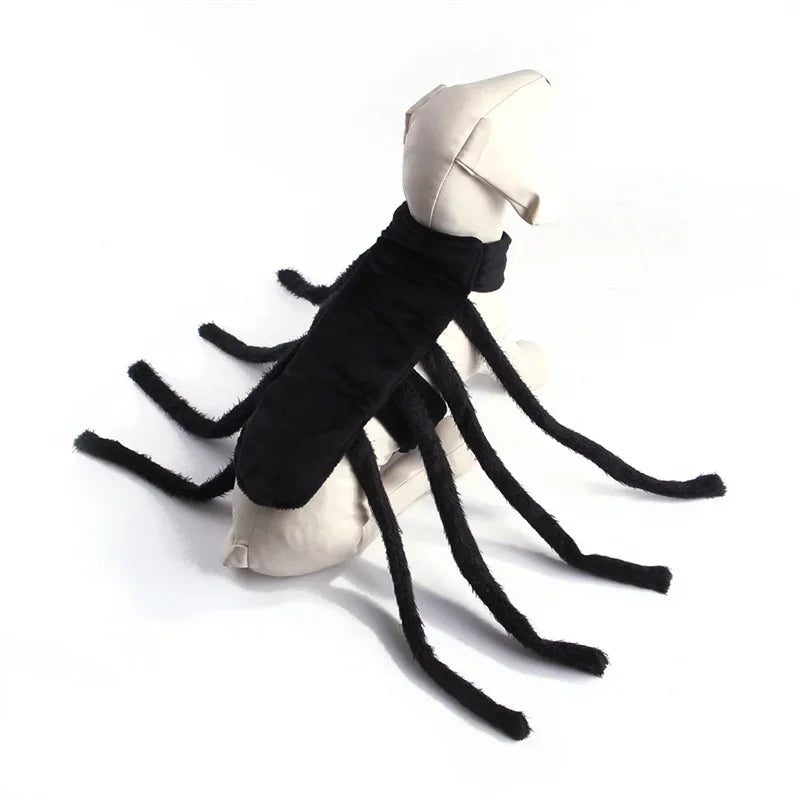 Spider Costume for Cats and Small to Medium Dogs