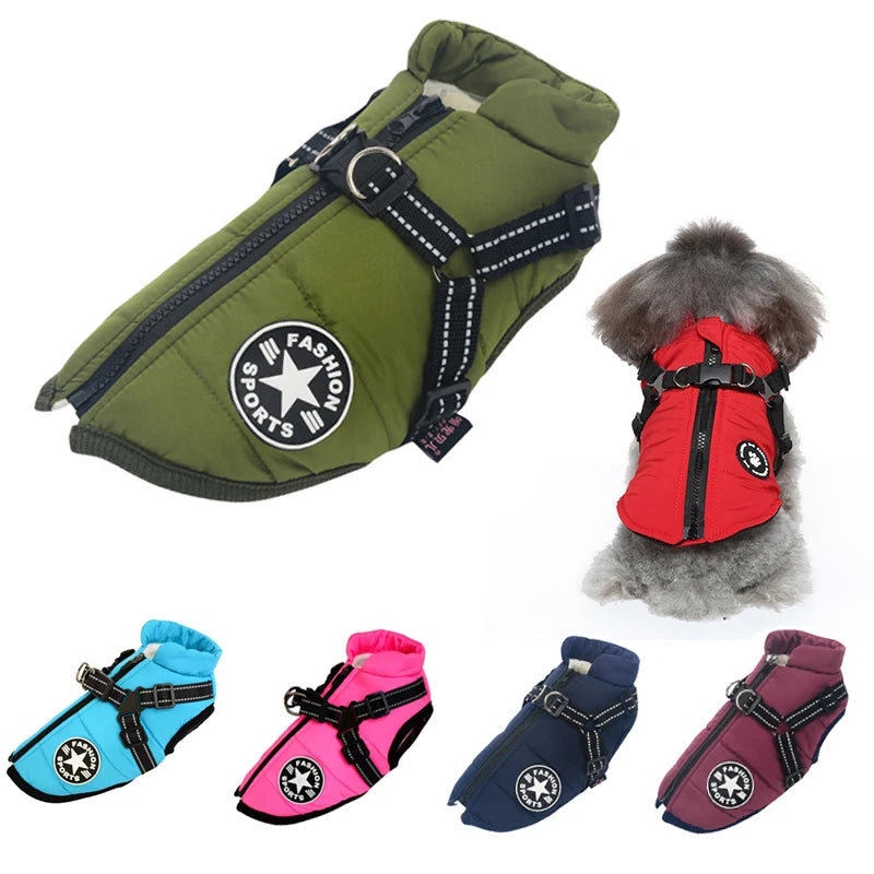Dog Jacket With Harness Dog Clothes