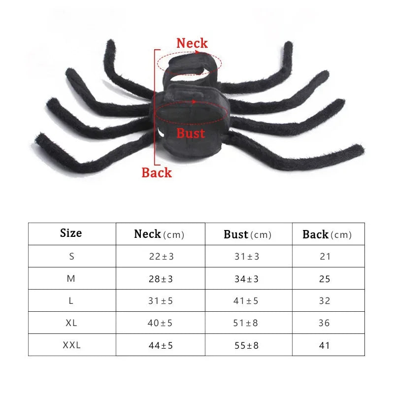 Spider Costume for Cats and Small to Medium Dogs