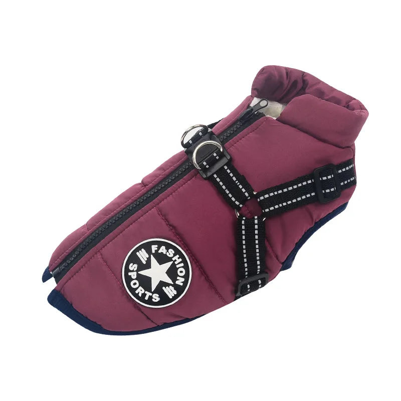 Dog Jacket With Harness Dog Clothes