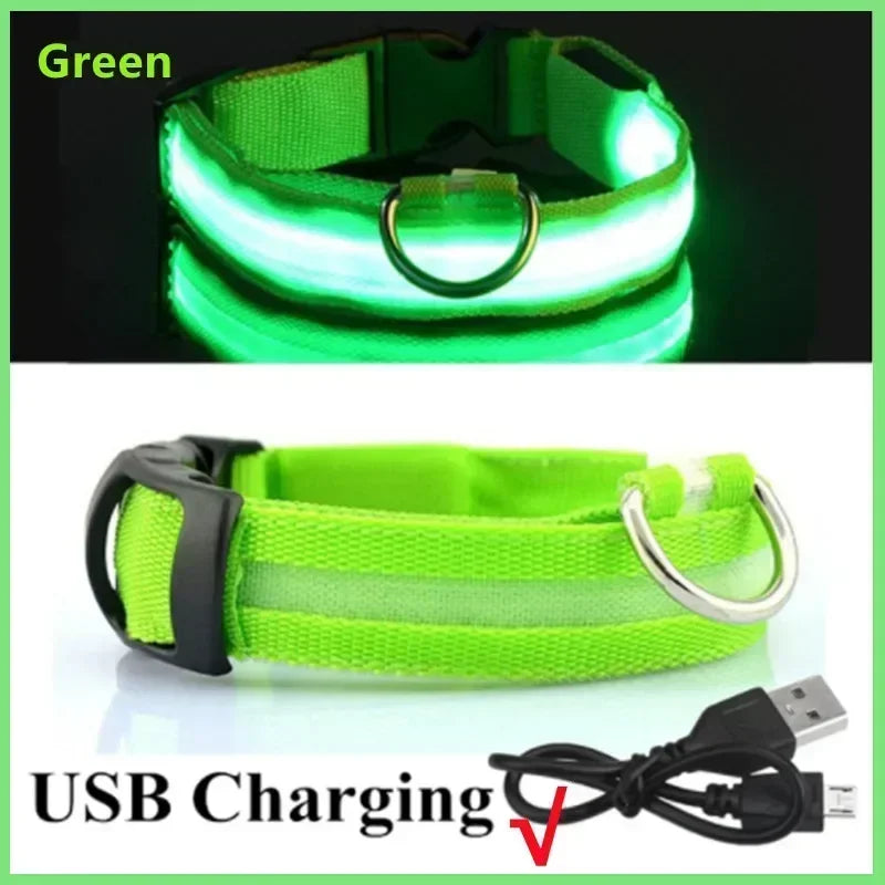 Rover Rituals | SafeShine Collar | Rechargeable glowing LED dog collar for safety night walks