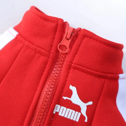 Sports Zip Dog Sweater Dog Clothes
