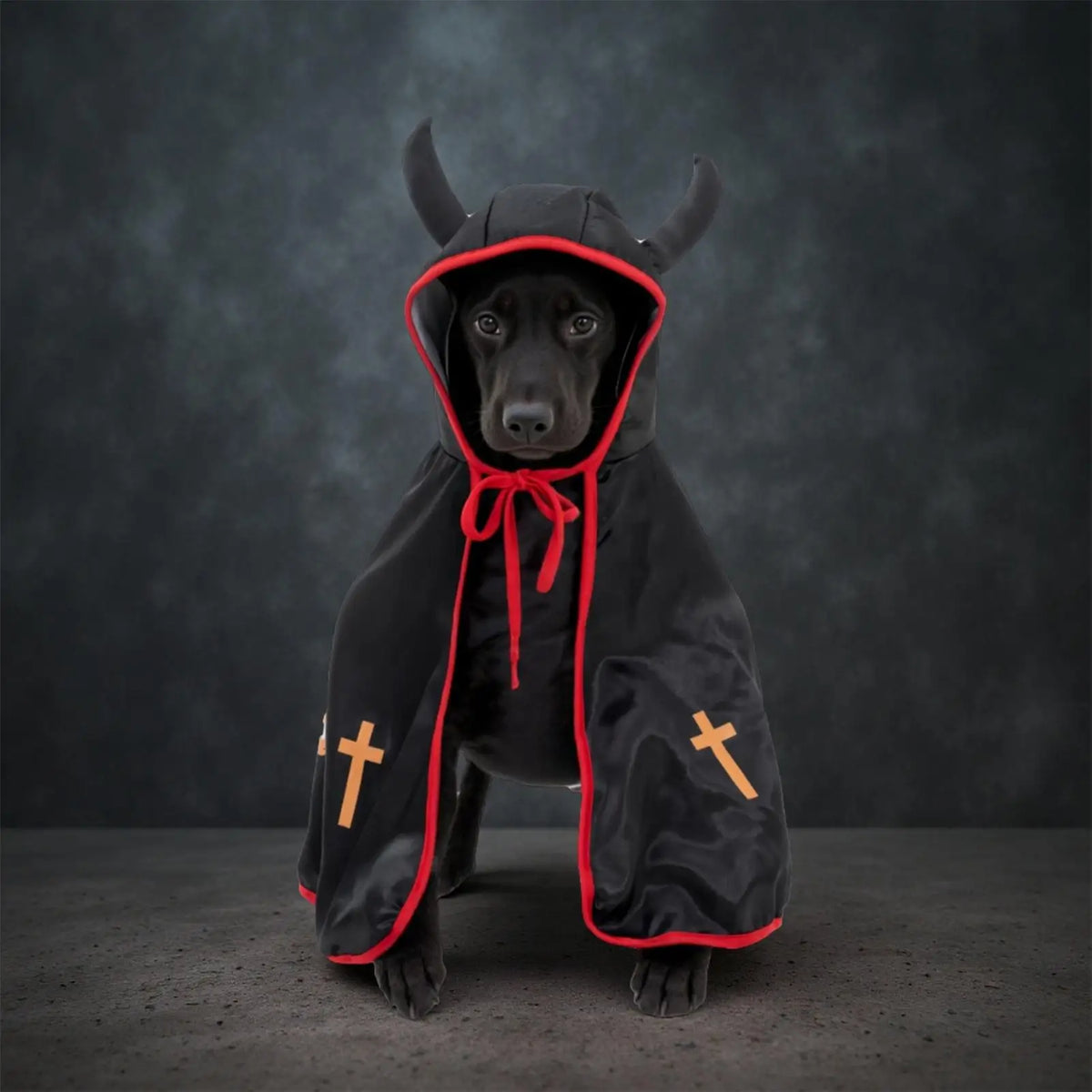 Pumpkin Cape Halloween Costume for Dogs and Cats