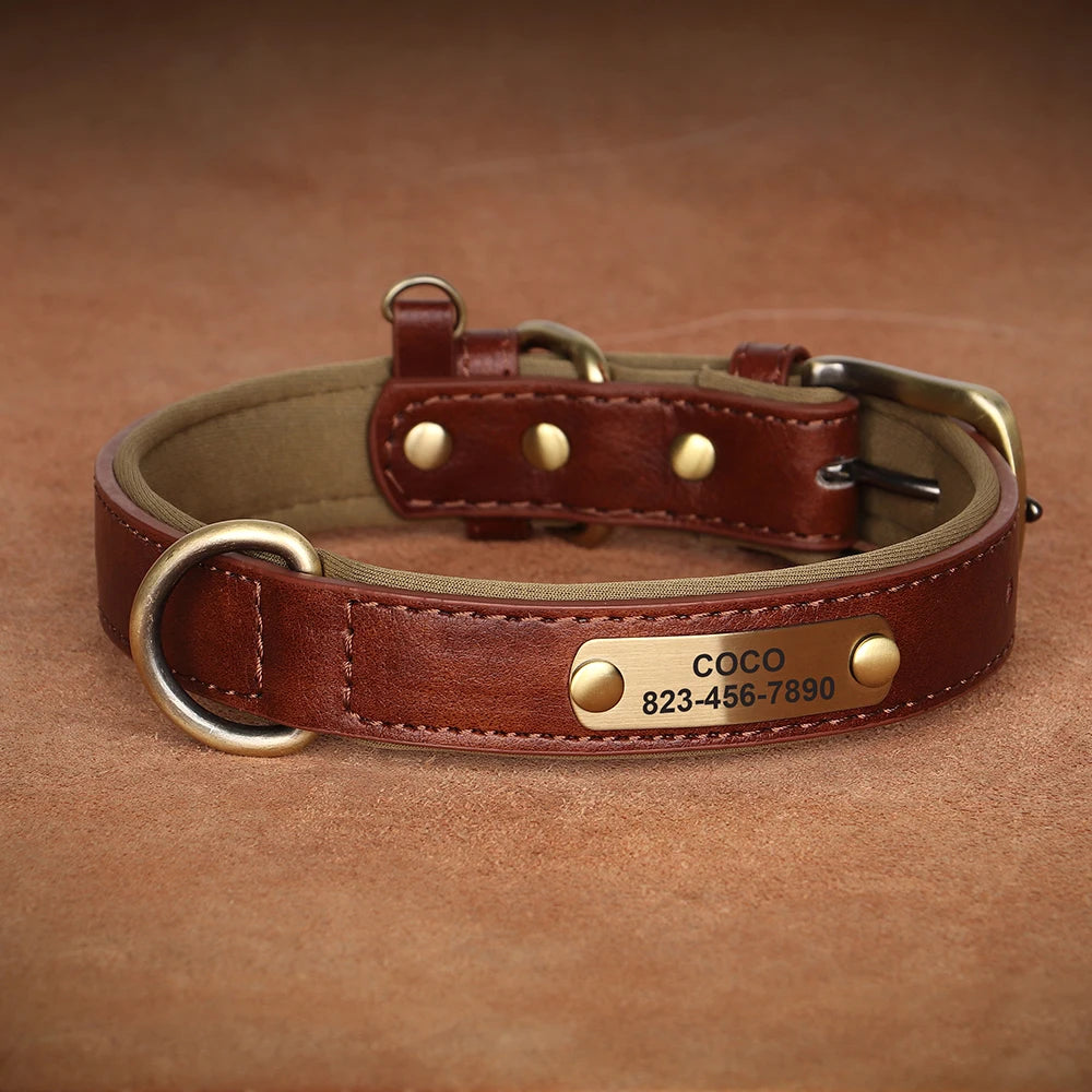 Personalized Dog Collars with Name Customizable ID Tag Nameplate