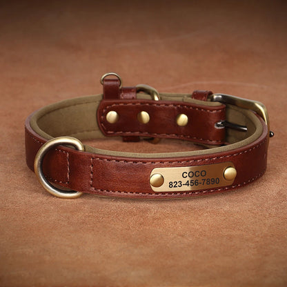 Personalized Dog Collars with Name Customizable ID Tag Nameplate
