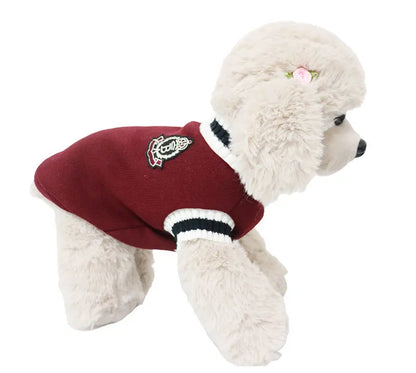Winter Warm Dog Sweater College Style V-neck Knitwear Coat | Dog Clothes
