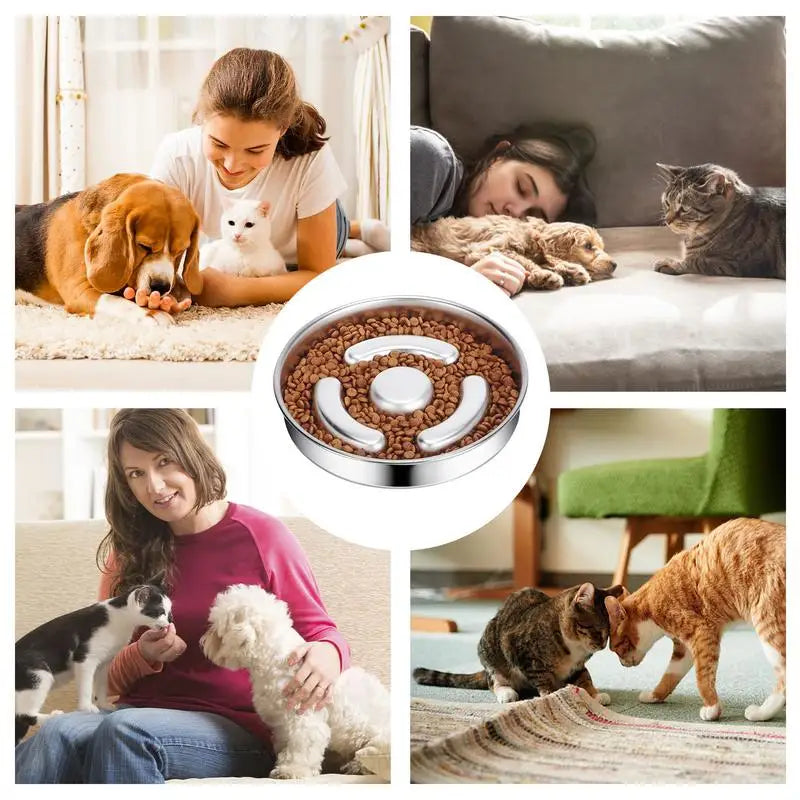 Slow Feeder Dog Bowl Stainless Steel