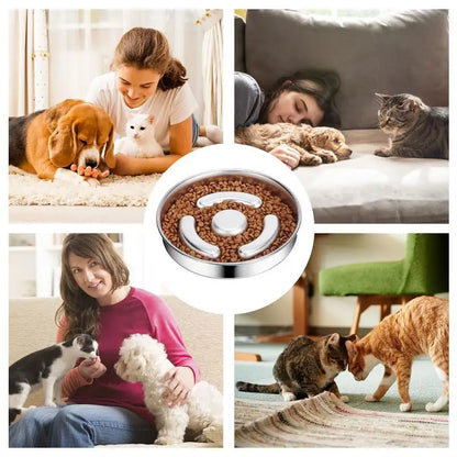 Slow Feeder Dog Bowl Stainless Steel