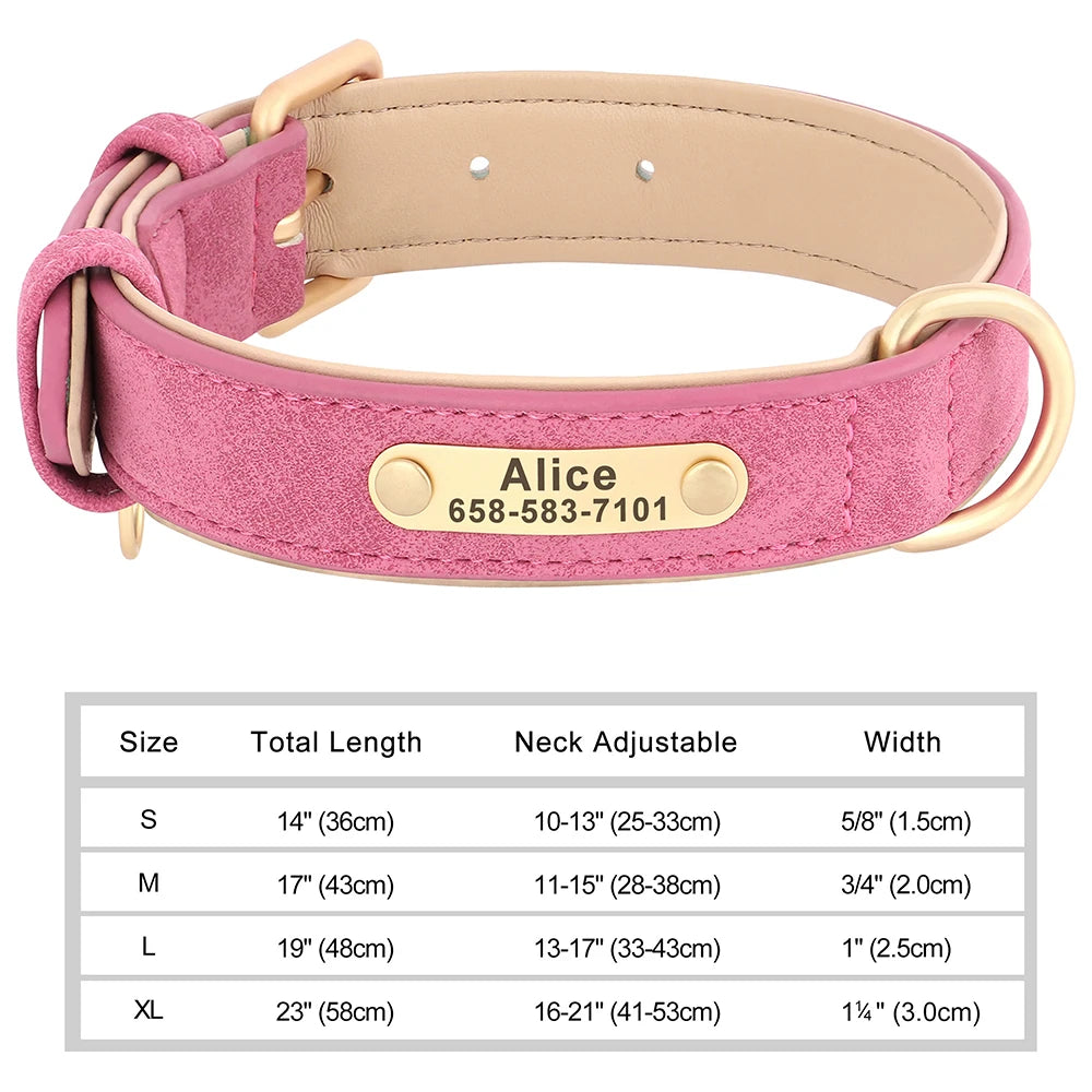 Personalized Dog Collars with Name Customizable ID Tag Nameplate