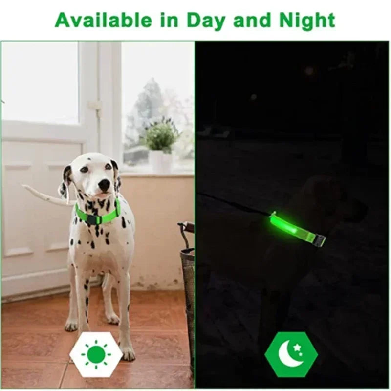 Rover Rituals | SafeShine Collar | Rechargeable glowing LED dog collar for safety night walks