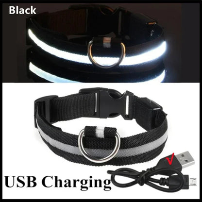 Rover Rituals | SafeShine Collar | Rechargeable glowing LED dog collar for safety night walks