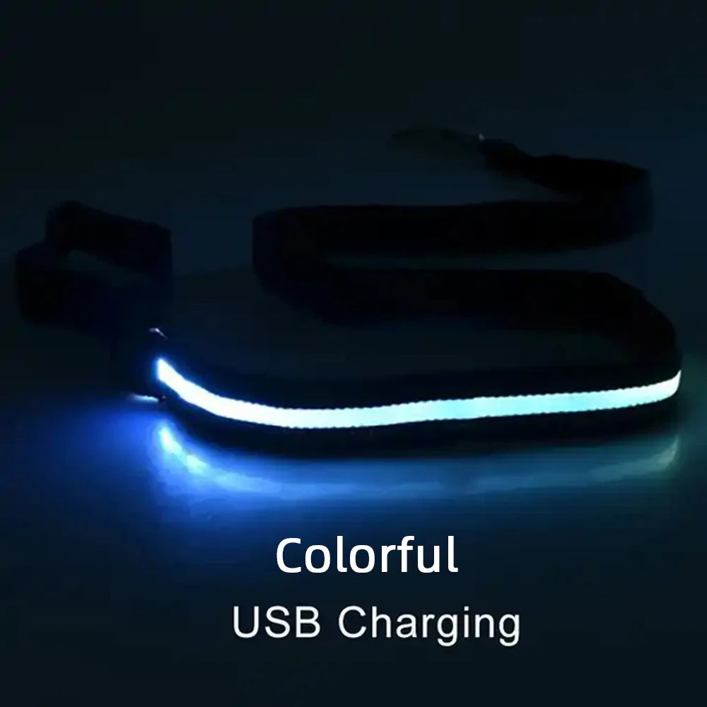 LED Light-Up Dog Leash — USB-C Rechargeable Traction Rope