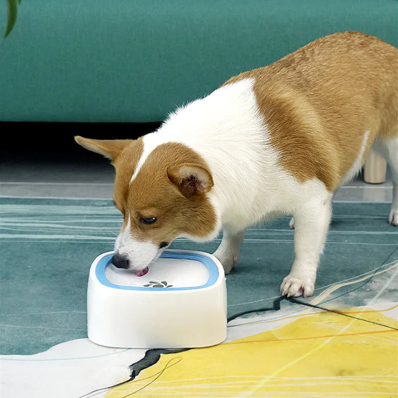 Dog Water Bowl No Spill – Keep Your Floors Dry & Your Pup Hydrated | Rover Rituals