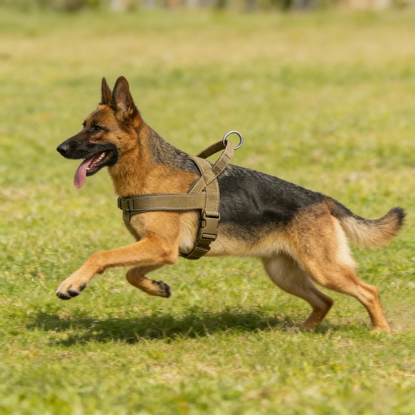 Tactical No-Pull Dog Harness – Heavy-Duty Padded Vest with Reflective Strips